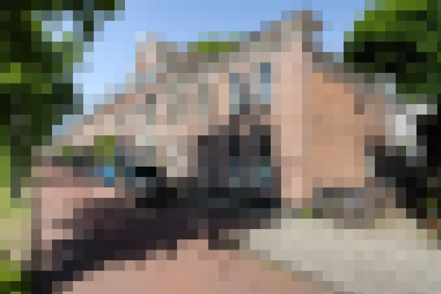 Jan van Goyenkade 20 D Leiden thumbnail 31