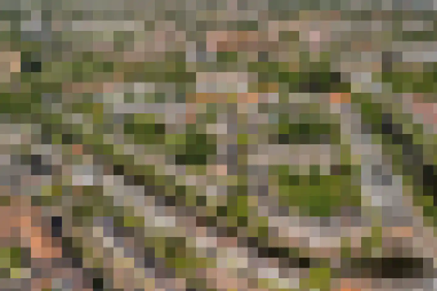 Jan van Goyenkade 20 D Leiden thumbnail 35