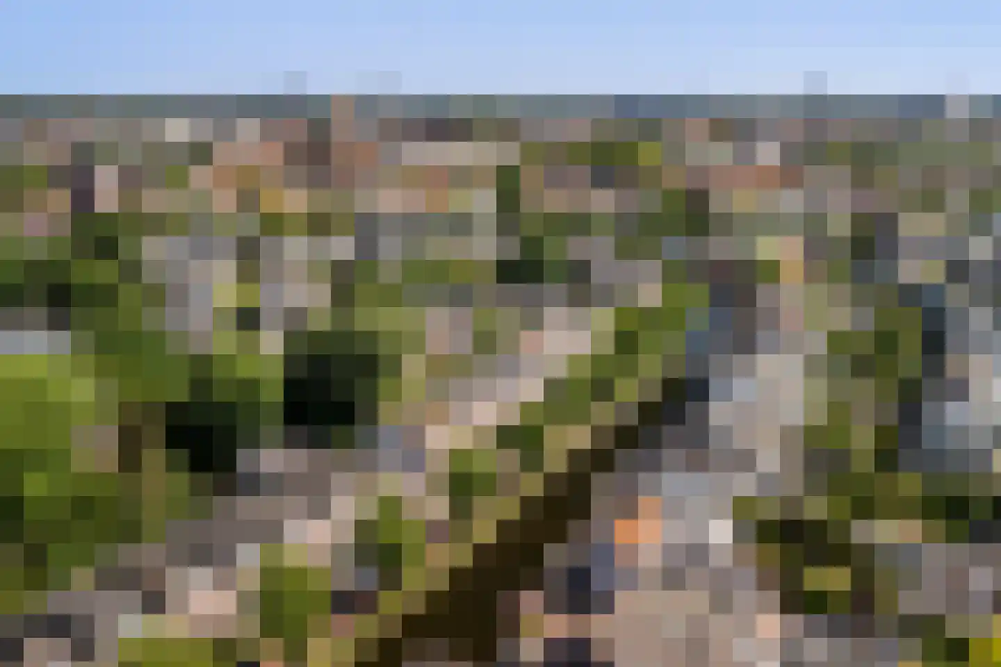 Jan van Goyenkade 20 D Leiden thumbnail 37