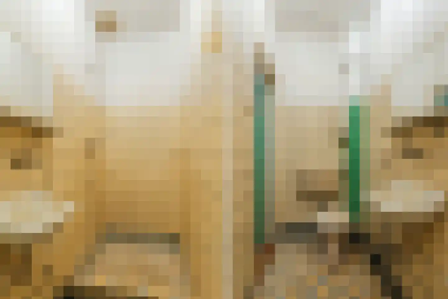 Jan van Goyenkade 39 Leiden thumbnail 19