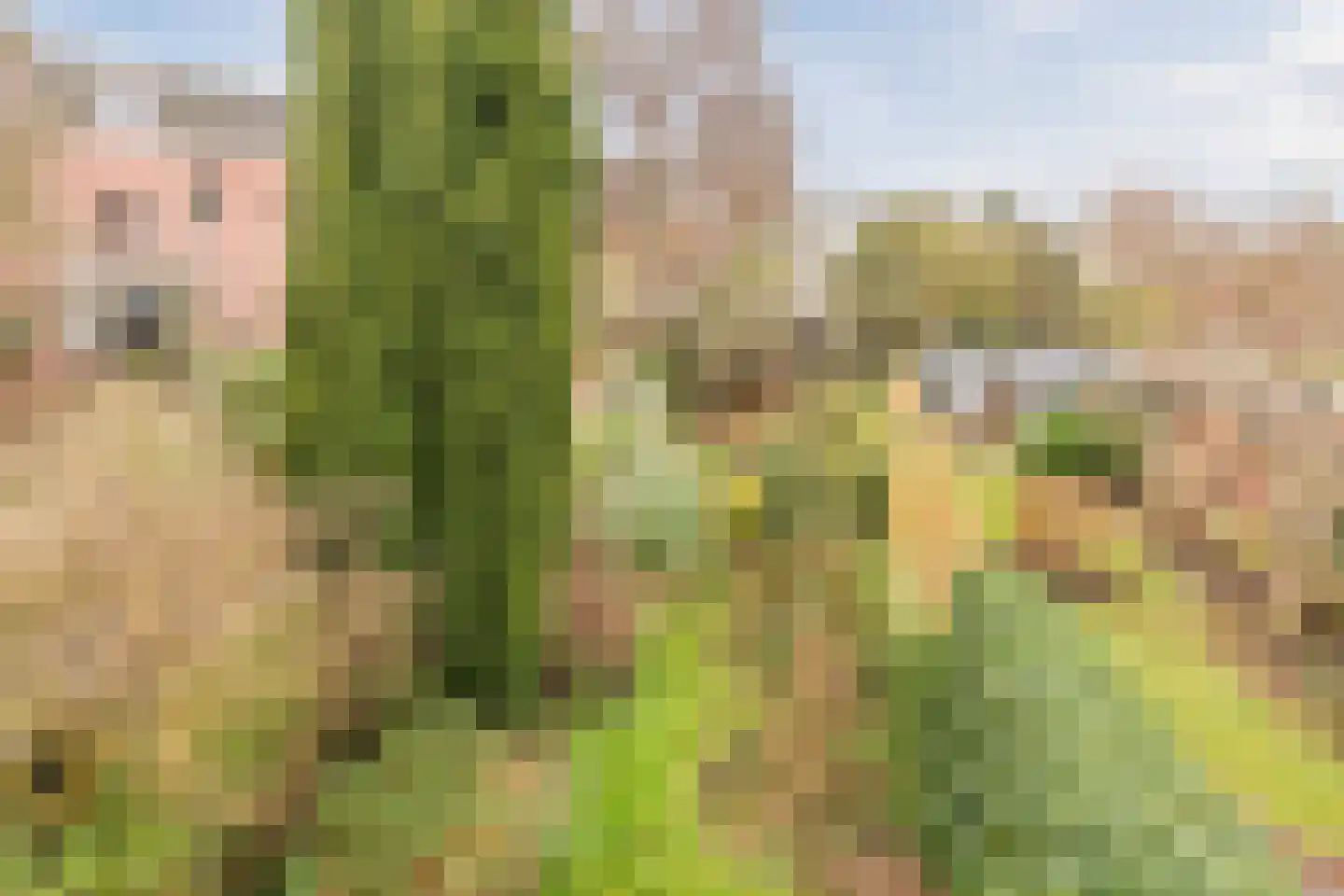 Jan van Goyenkade 39 Leiden thumbnail 25