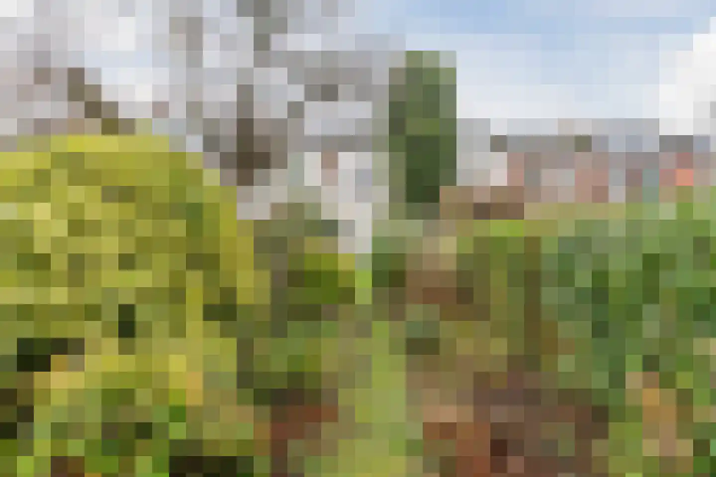Jan van Goyenkade 39 Leiden thumbnail 27