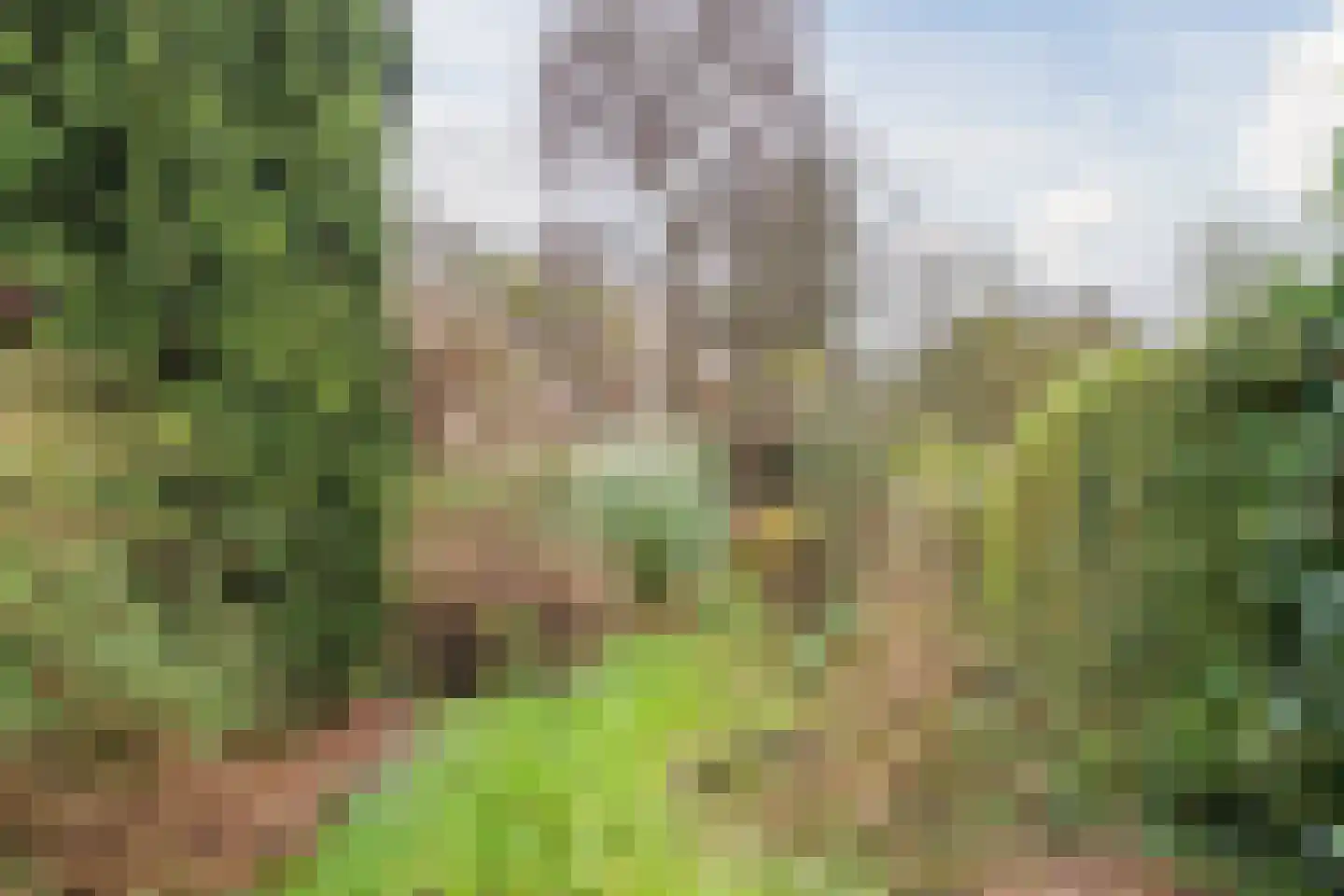 Jan van Goyenkade 39 Leiden thumbnail 28