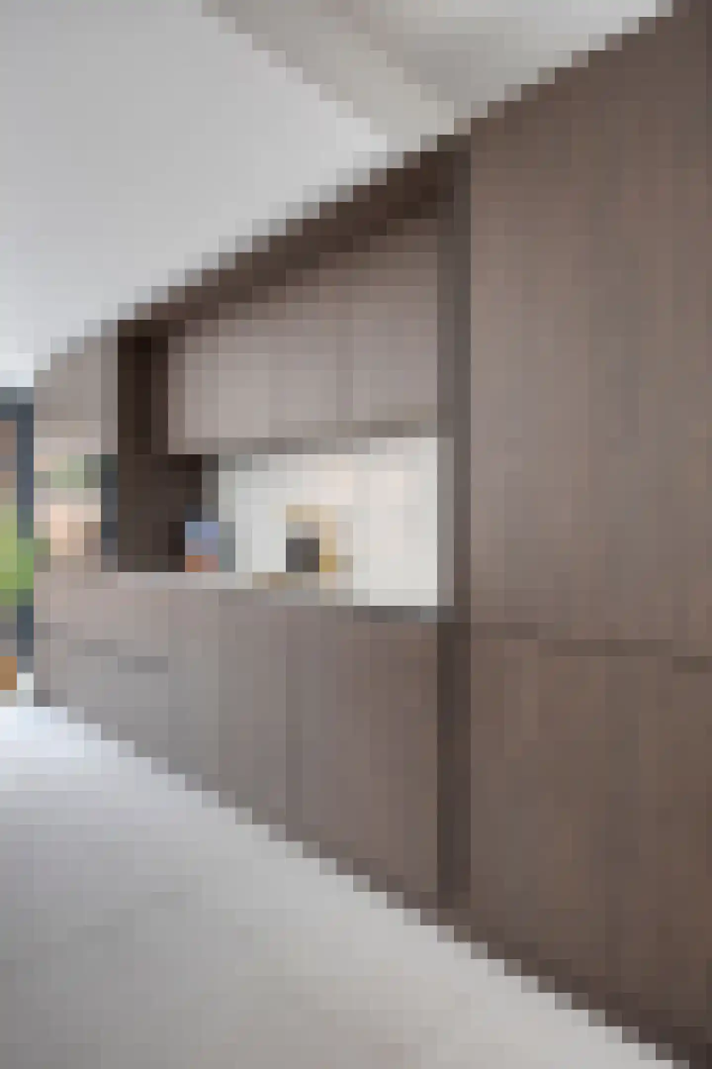 Jan van Goyenlaan 1 Amstelveen thumbnail 19
