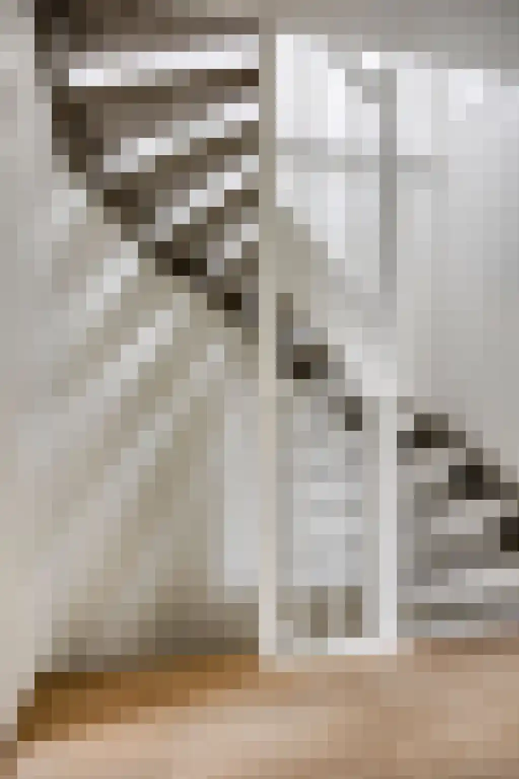 Jan van Goyenlaan 1 Amstelveen thumbnail 23