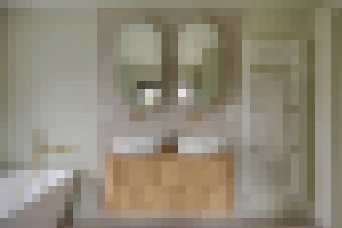 Jan van Goyenlaan 1 Amstelveen thumbnail 27