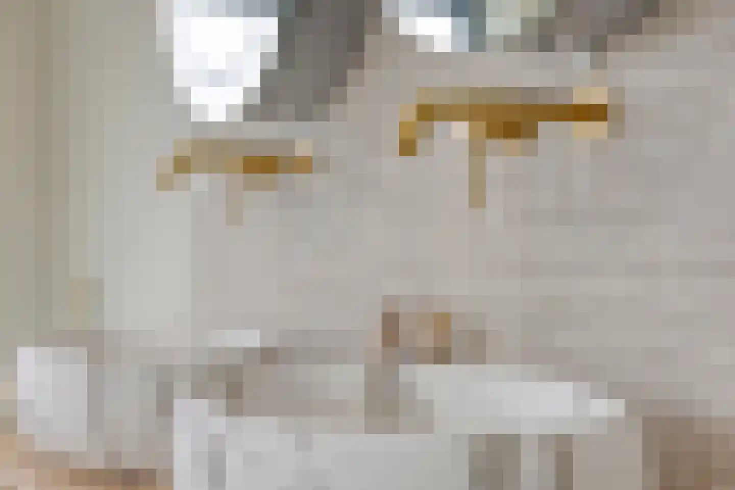 Jan van Goyenlaan 1 Amstelveen thumbnail 29