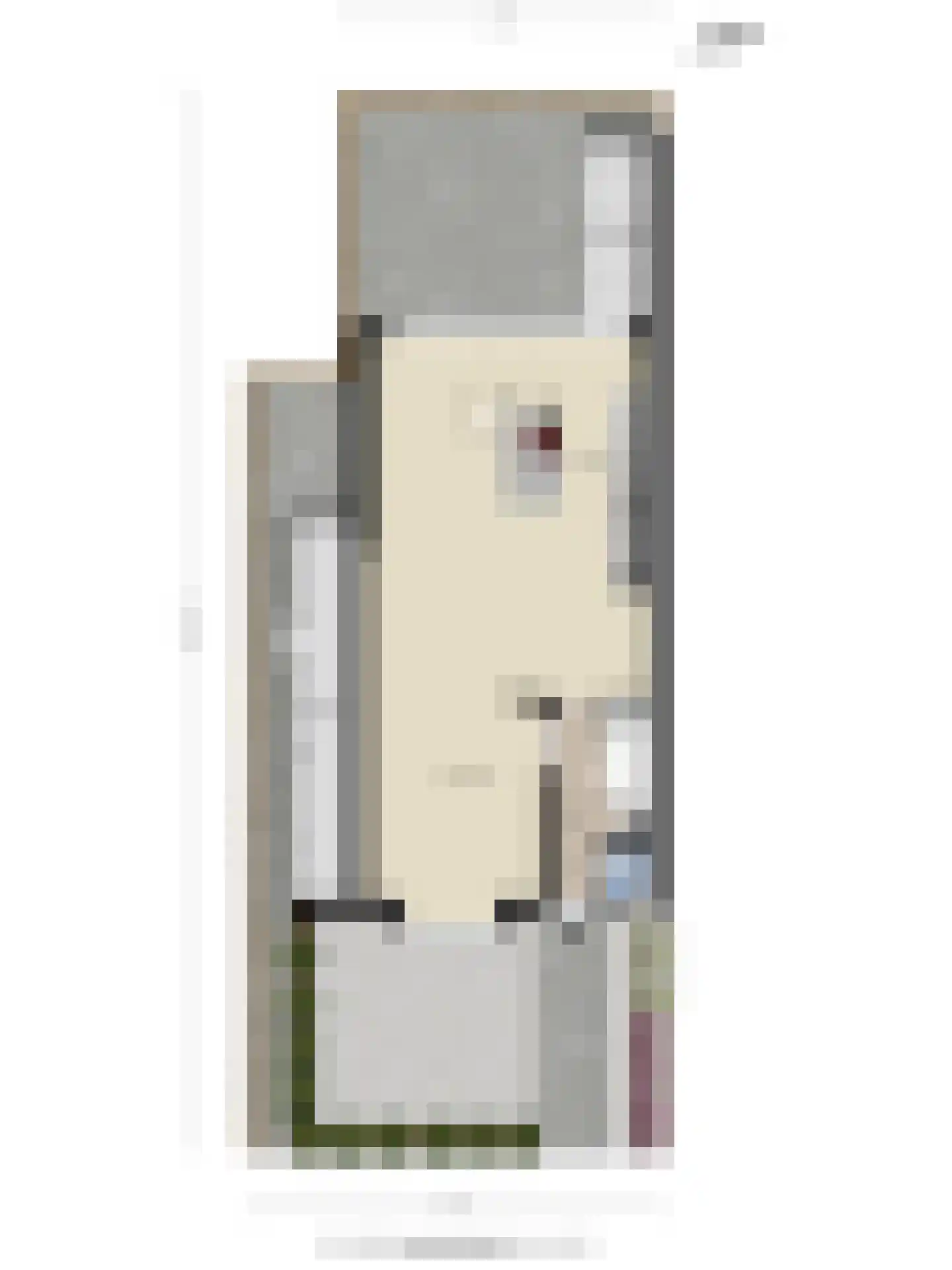 Jan van Goyenlaan 1 Amstelveen thumbnail 57