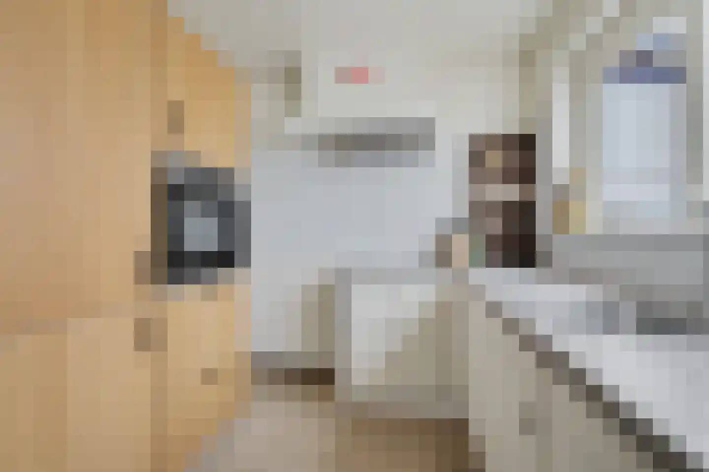 Jan van Goyenlaan 10 Apeldoorn thumbnail 10