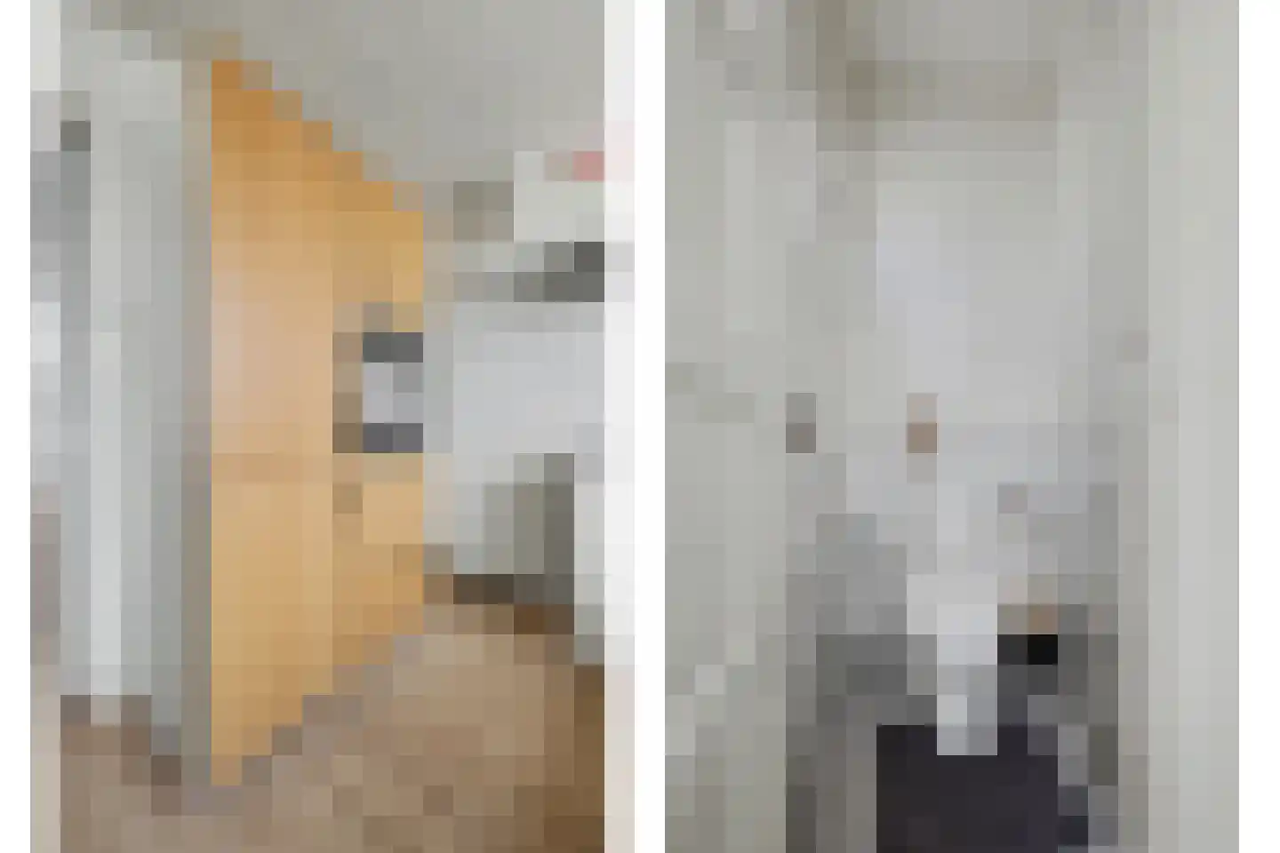 Jan van Goyenlaan 10 Apeldoorn thumbnail 12