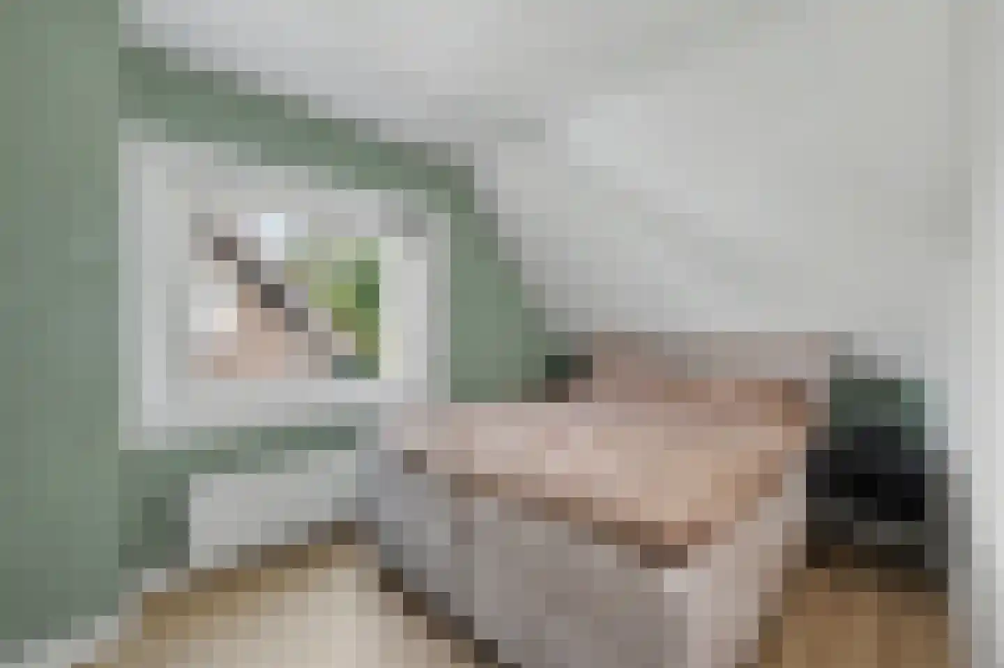 Jan van Goyenlaan 10 Apeldoorn thumbnail 16