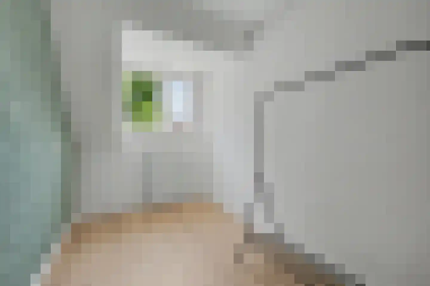 Jan van Goyenlaan 10 Apeldoorn thumbnail 18