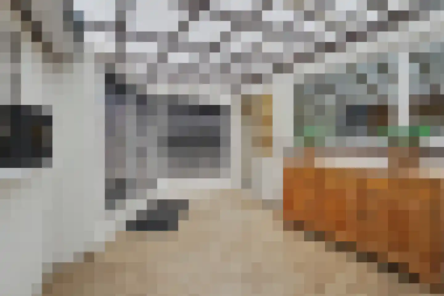 Jan van Goyenlaan 10 Apeldoorn thumbnail 25