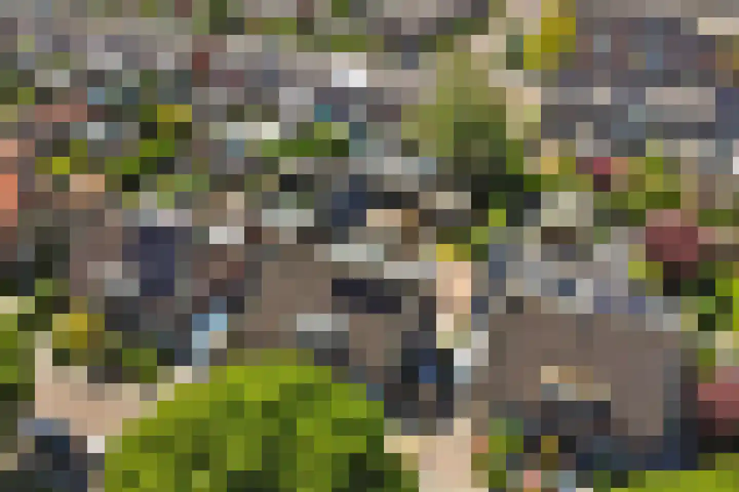 Jan van Goyenlaan 10 Apeldoorn thumbnail 38