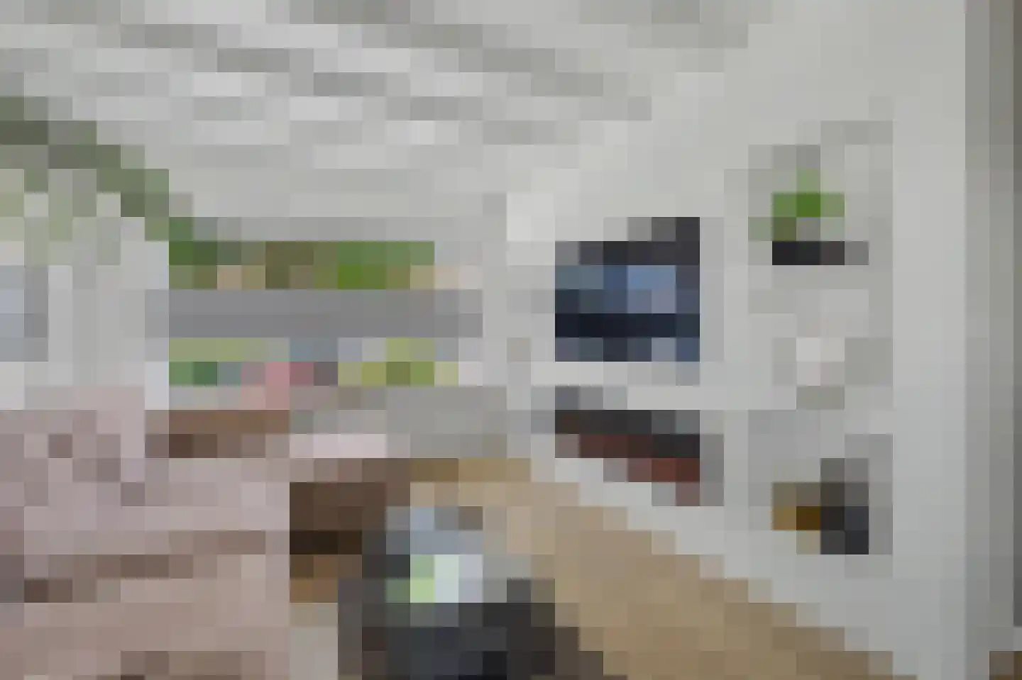 Jan van Goyenlaan 10 Apeldoorn thumbnail 5