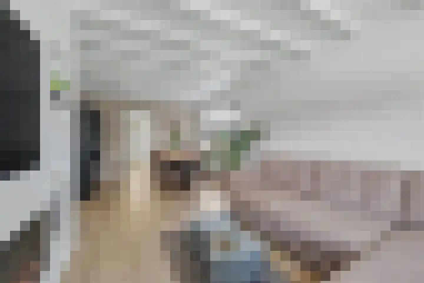 Jan van Goyenlaan 10 Apeldoorn thumbnail 6