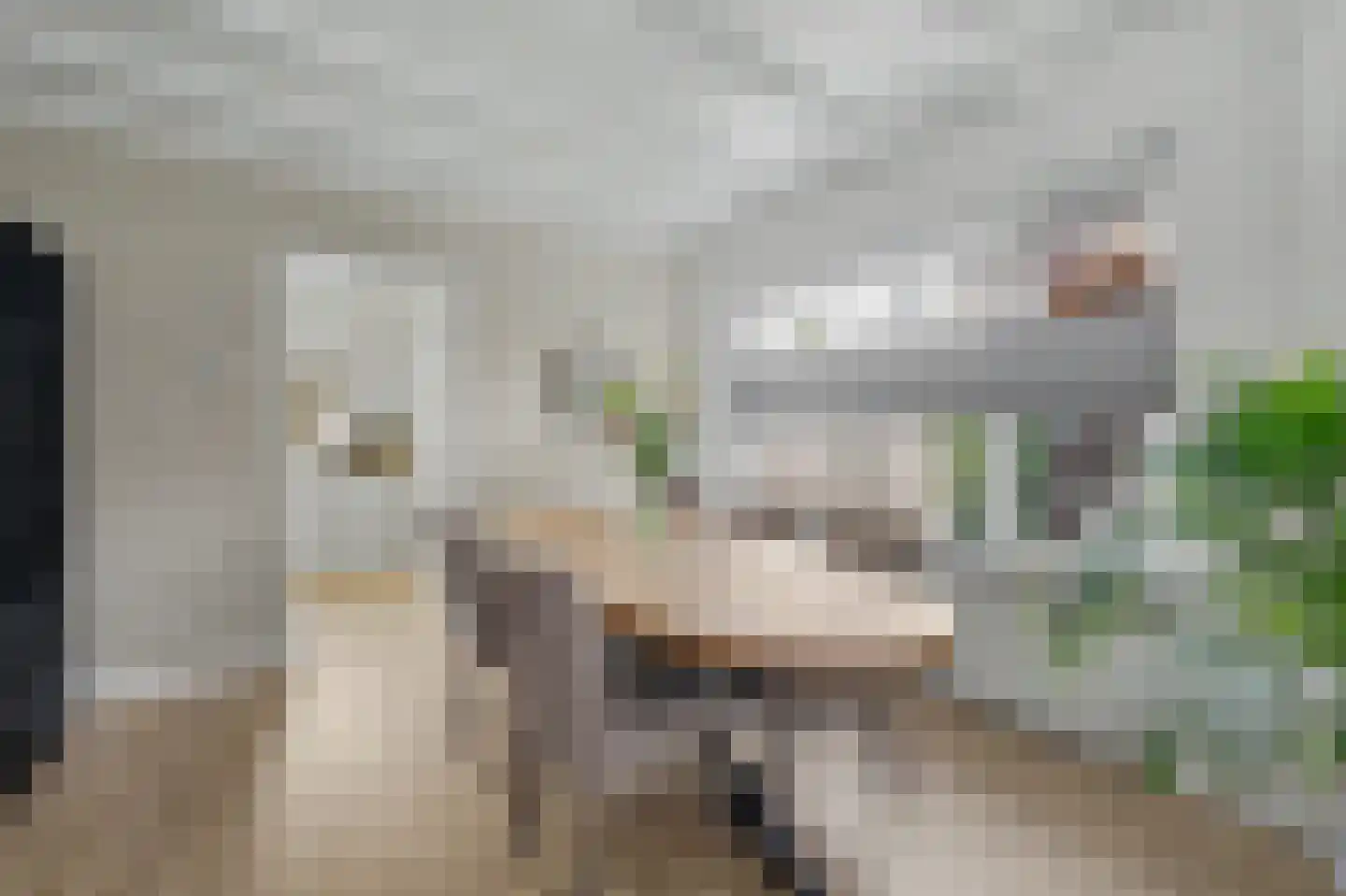 Jan van Goyenlaan 10 Apeldoorn thumbnail 7