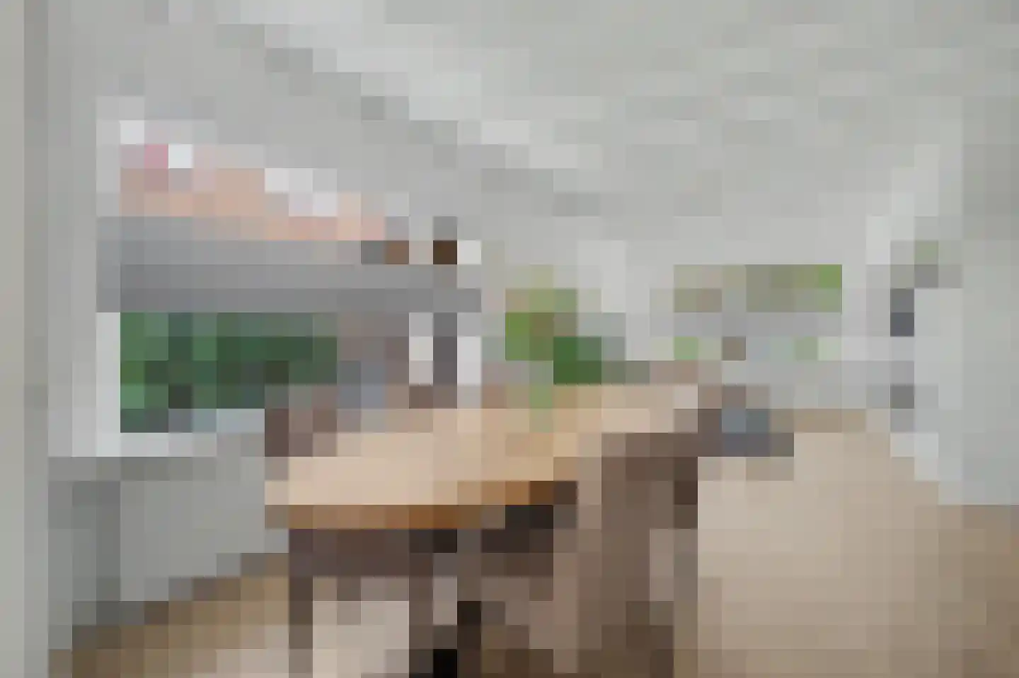 Jan van Goyenlaan 10 Apeldoorn thumbnail 8