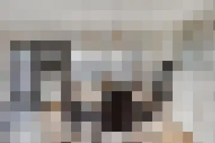 Jan van Goyenlaan 10 Helmond thumbnail 12