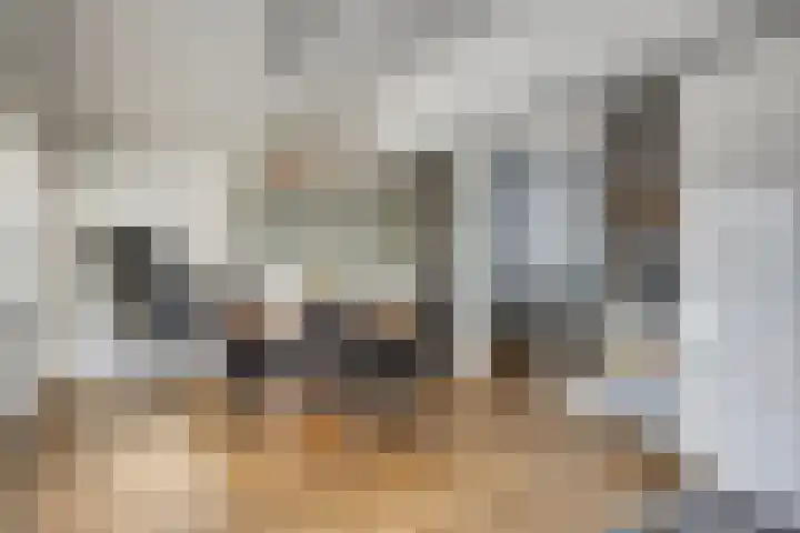 Jan van Goyenlaan 10 Helmond thumbnail 14
