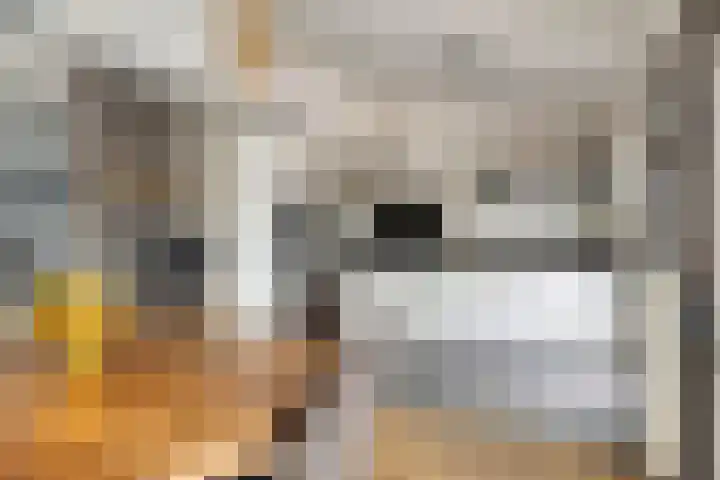 Jan van Goyenlaan 10 Helmond thumbnail 15