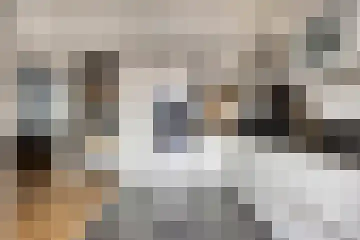 Jan van Goyenlaan 10 Helmond thumbnail 16