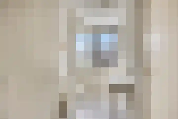 Jan van Goyenlaan 10 Helmond thumbnail 17