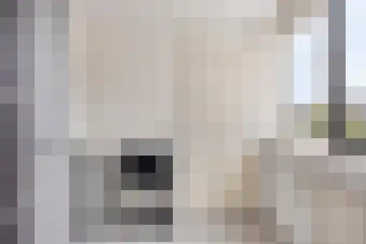Jan van Goyenlaan 10 Helmond thumbnail 22