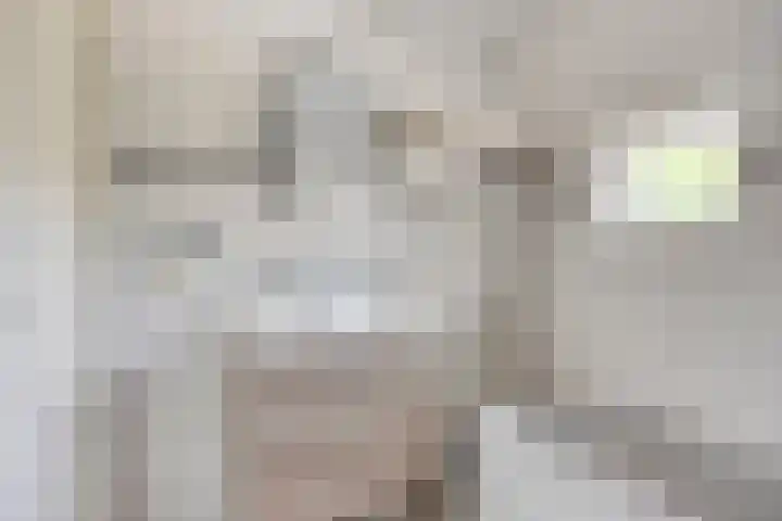 Jan van Goyenlaan 10 Helmond thumbnail 23