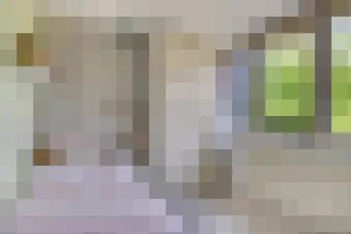 Jan van Goyenlaan 10 Helmond thumbnail 26