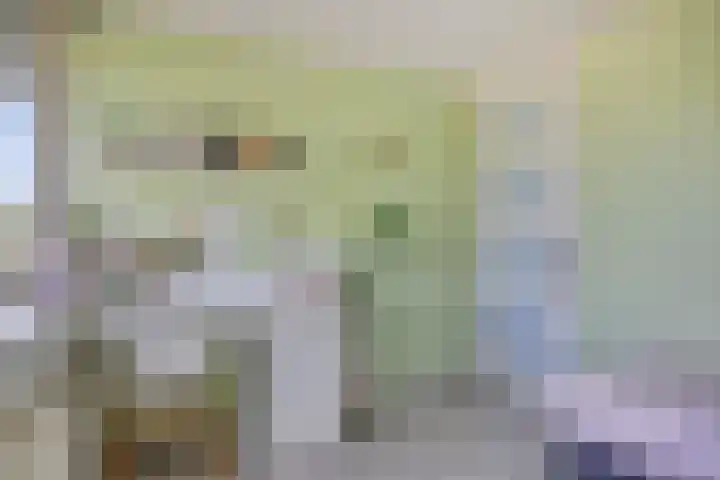 Jan van Goyenlaan 10 Helmond thumbnail 27