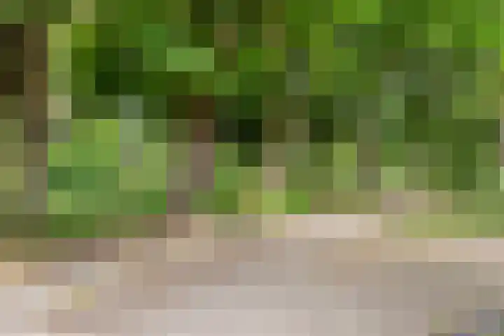 Jan van Goyenlaan 10 Helmond thumbnail 37
