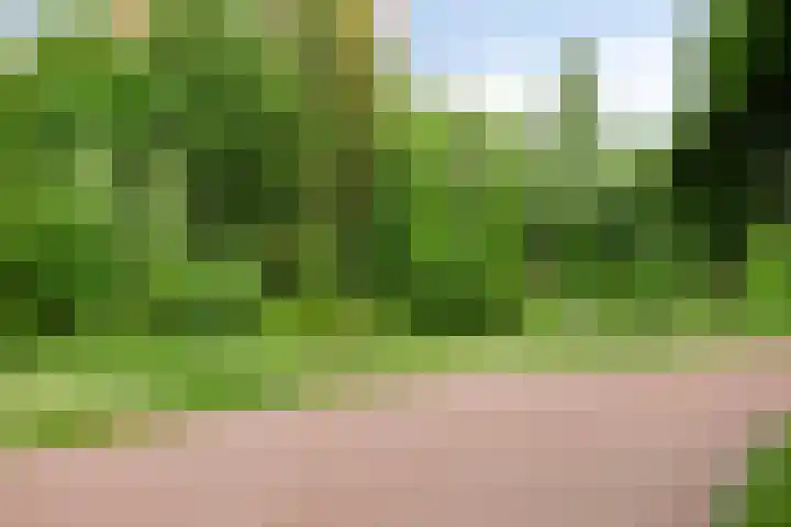 Jan van Goyenlaan 10 Helmond thumbnail 38