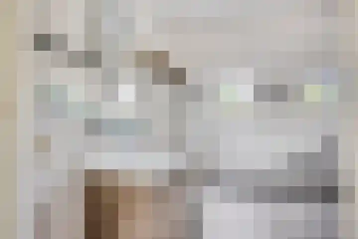 Jan van Goyenlaan 10 Helmond thumbnail 5