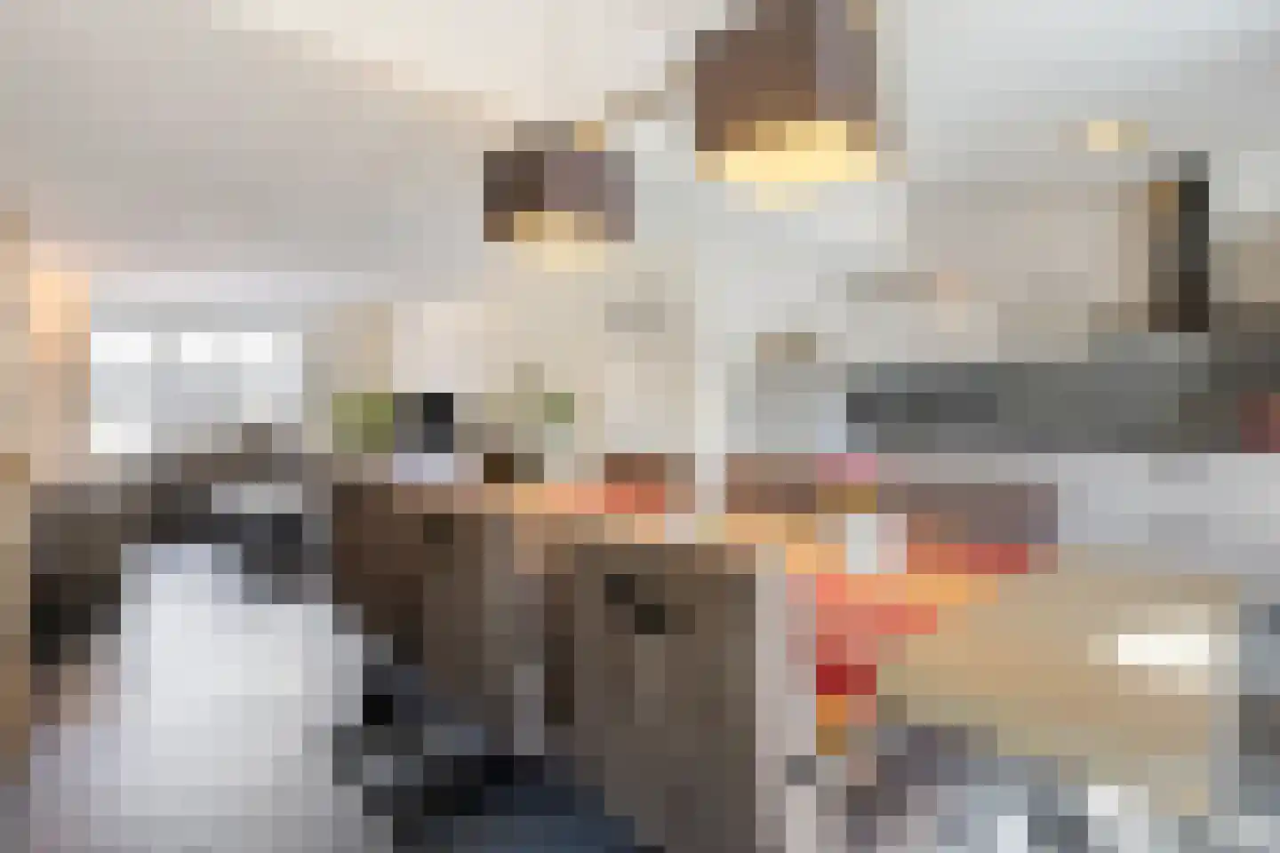 Jan van Goyenlaan 14 Helmond thumbnail 14