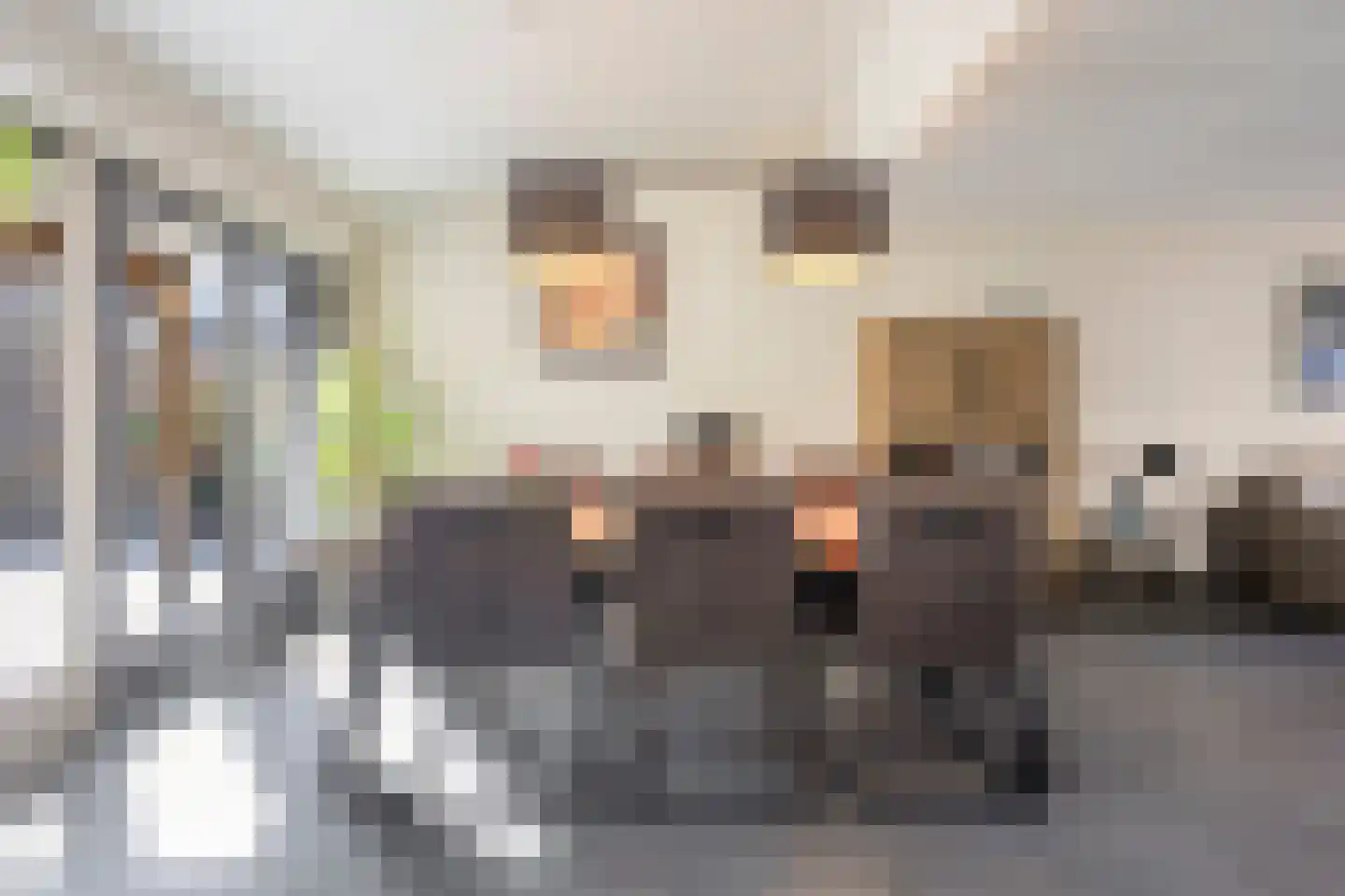 Jan van Goyenlaan 14 Helmond thumbnail 15