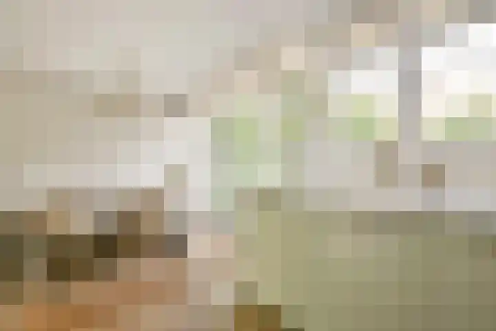 Jan van Goyenlaan 24 Amstelveen thumbnail 11