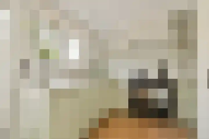 Jan van Goyenlaan 24 Amstelveen thumbnail 12