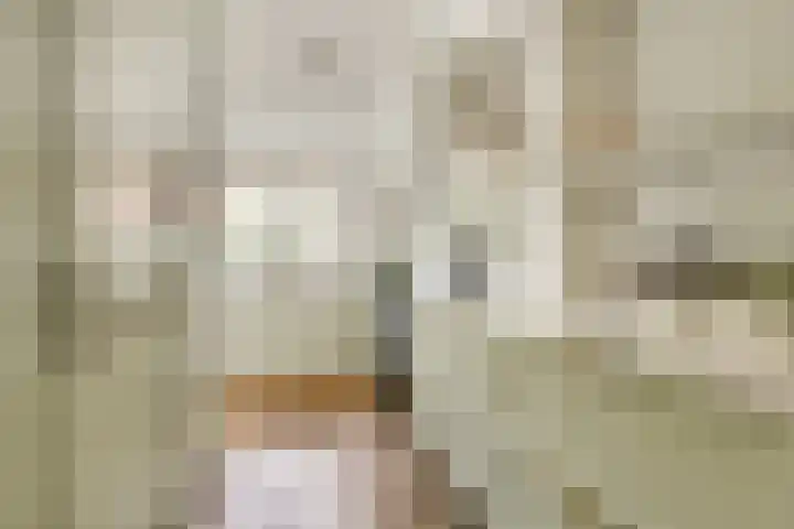 Jan van Goyenlaan 24 Amstelveen thumbnail 13