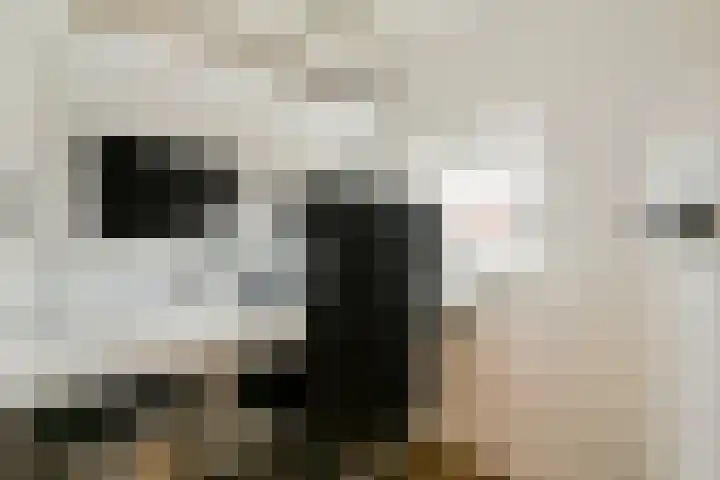Jan van Goyenlaan 24 Amstelveen thumbnail 26