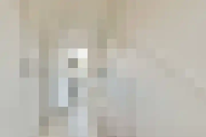 Jan van Goyenlaan 24 Amstelveen thumbnail 28