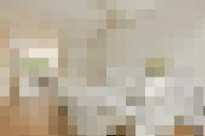 Jan van Goyenlaan 24 Amstelveen thumbnail 6