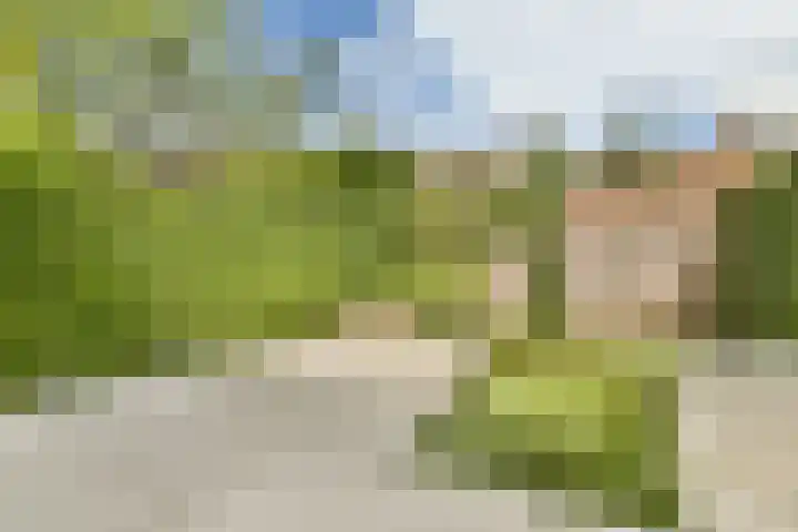 Jan van Goyenlaan 24 Amstelveen thumbnail 9