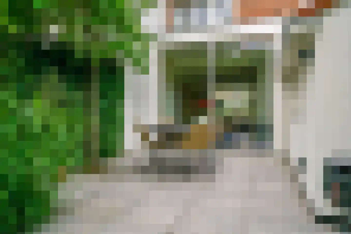 Jan van Goyenlaan 26 Amstelveen thumbnail 30