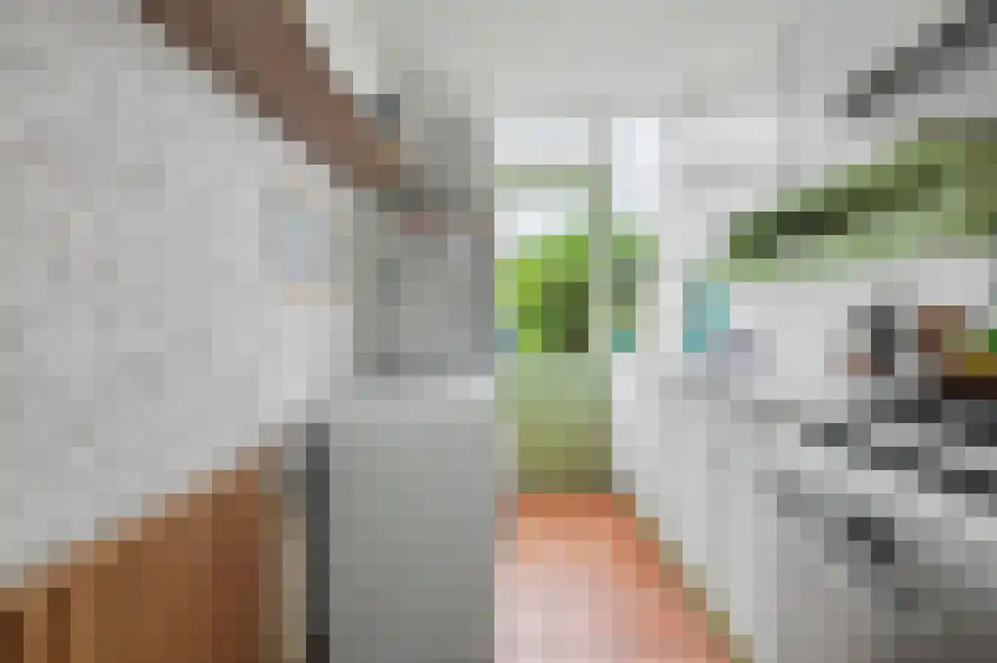 Jan van Goyenpad 9 Spijkenisse thumbnail 8