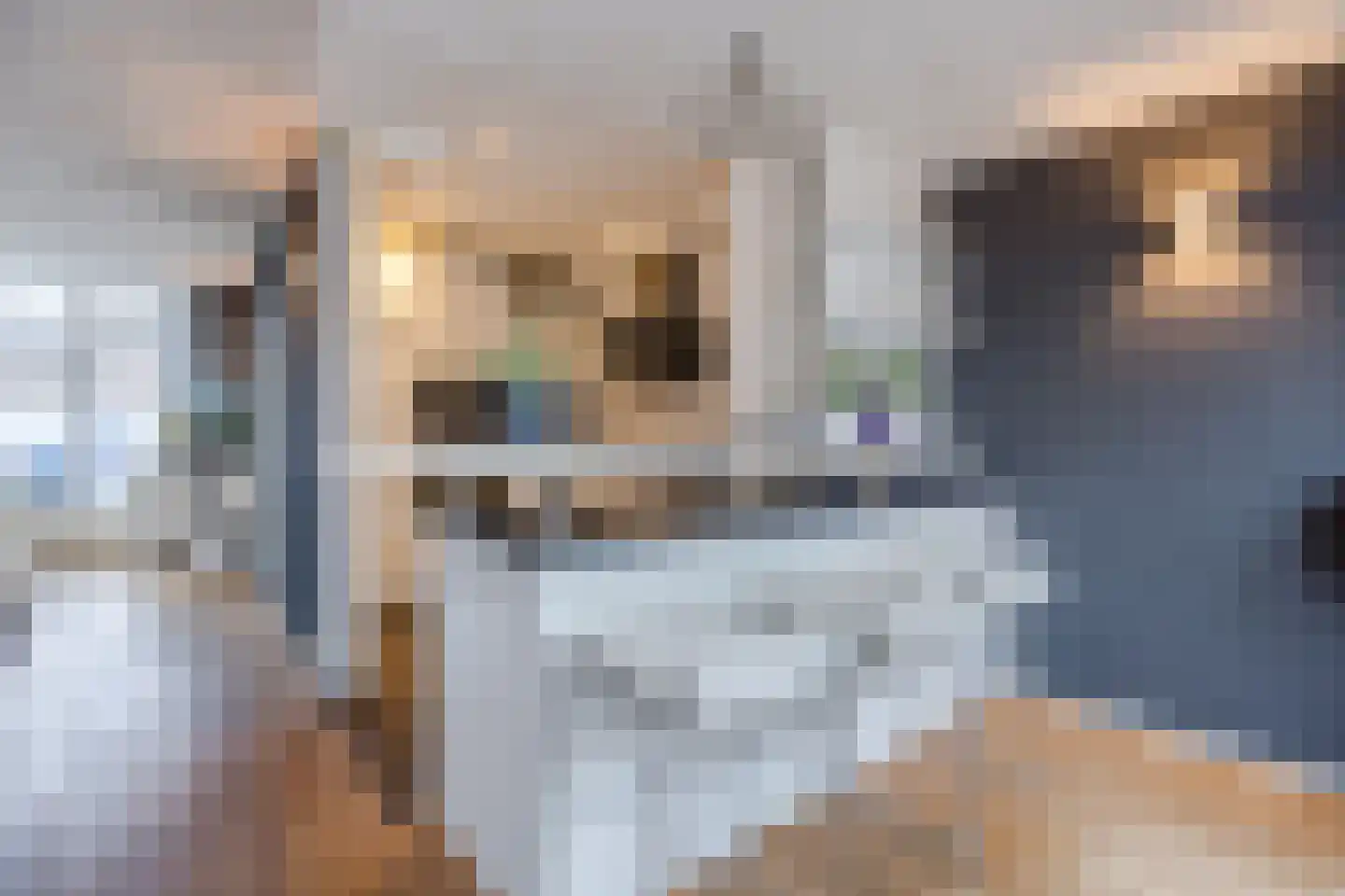 Jan van Goyenplantsoen 10 Voorschoten thumbnail 11