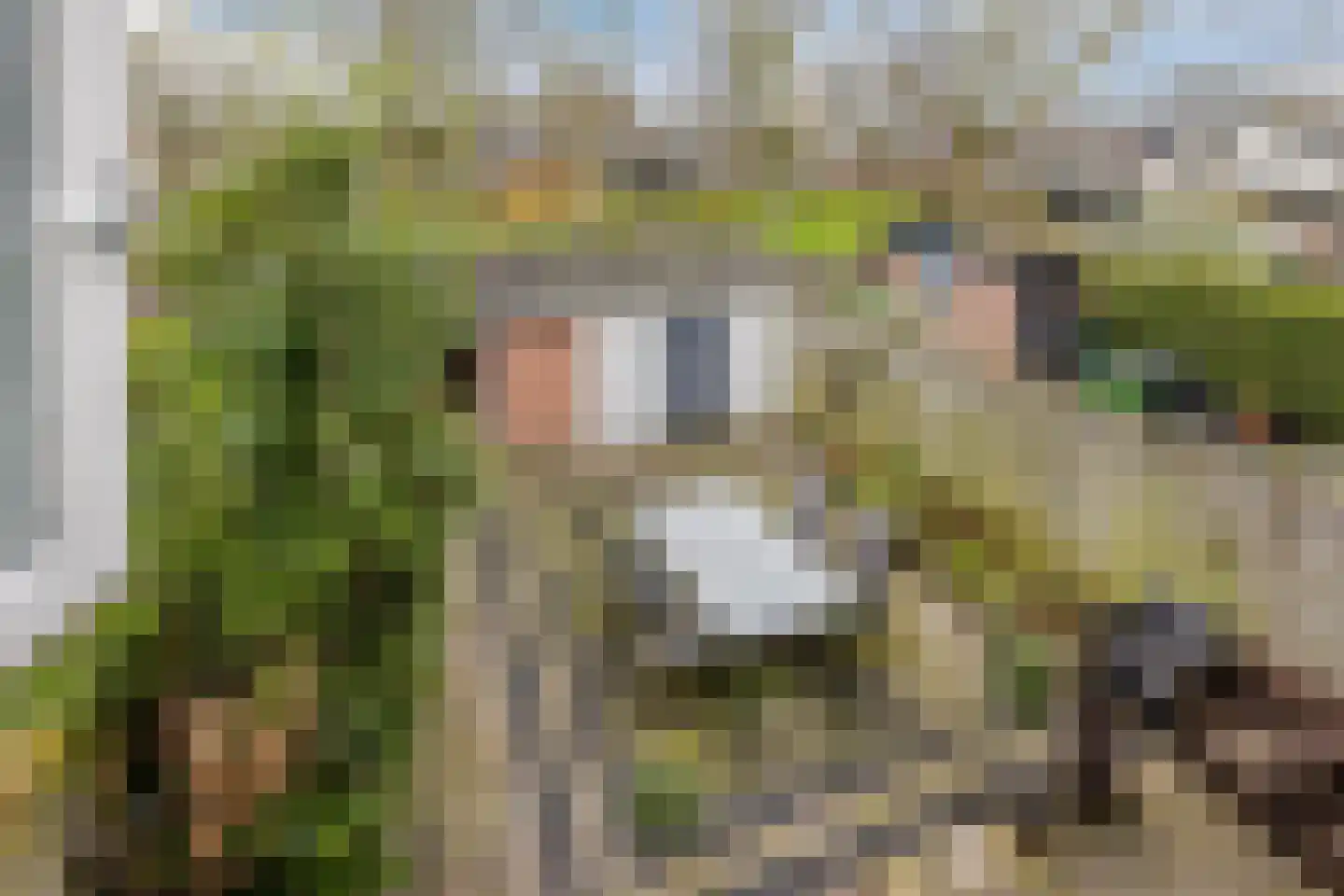 Jan van Goyenplantsoen 10 Voorschoten thumbnail 19