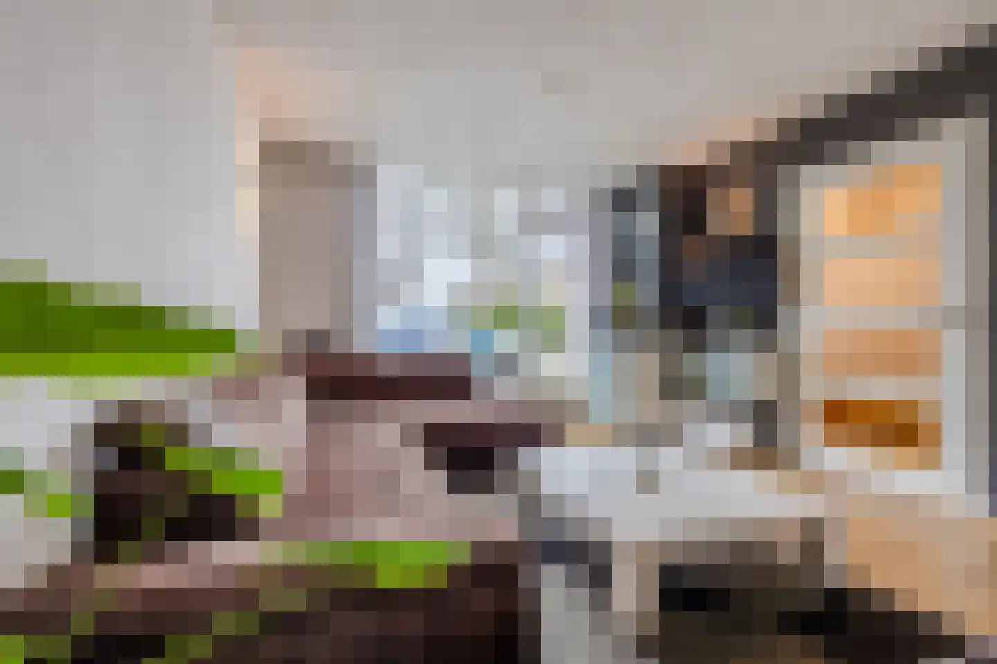 Jan van Goyenplantsoen 10 Voorschoten thumbnail 6