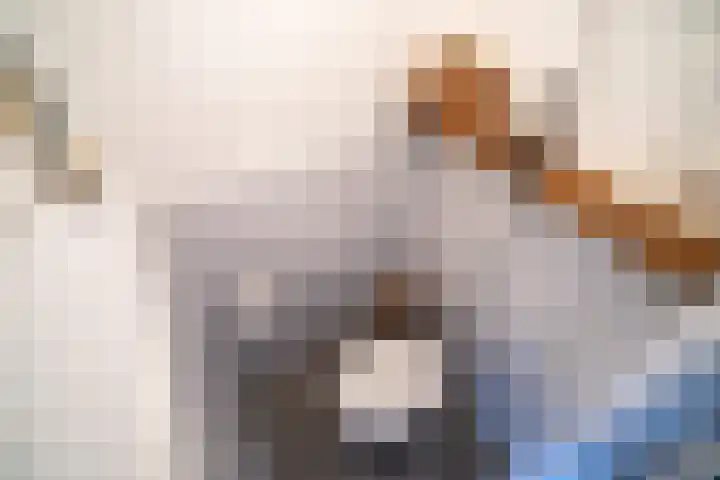 Jan van Goyenplantsoen 22 Voorschoten thumbnail 12