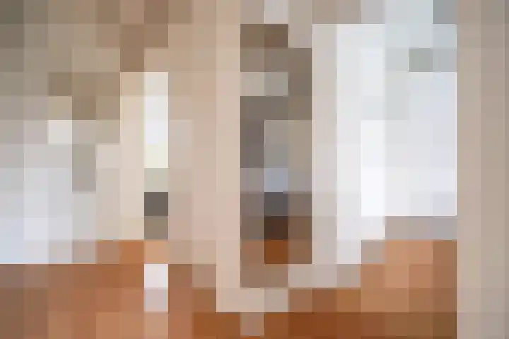 Jan van Goyenplantsoen 22 Voorschoten thumbnail 13